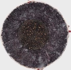 Rawlings Store -Rawlings Store RLLB1 91